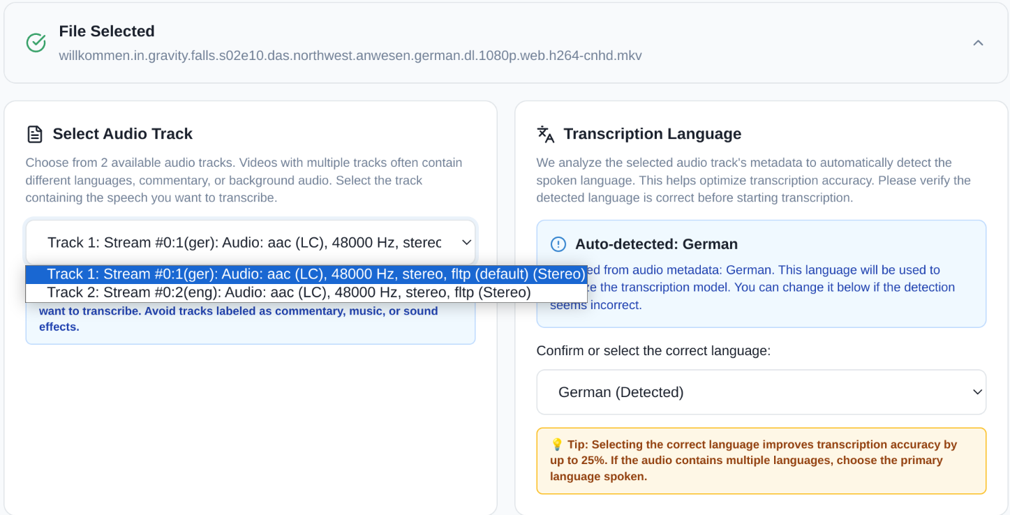 Screenshot: Audio Tracks Detected